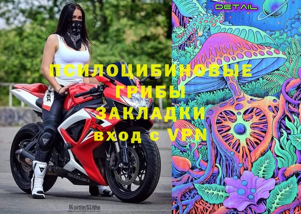 дживик Куйбышев