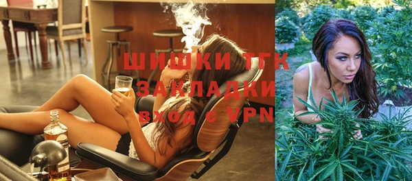 амф Кулебаки