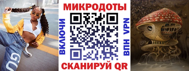 Псилоцибиновые грибы Psilocybe Купить где Октябрьск